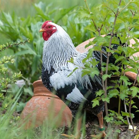 Ferienwohnung Stein Mit Sauna Hasselbach Kültér fotó